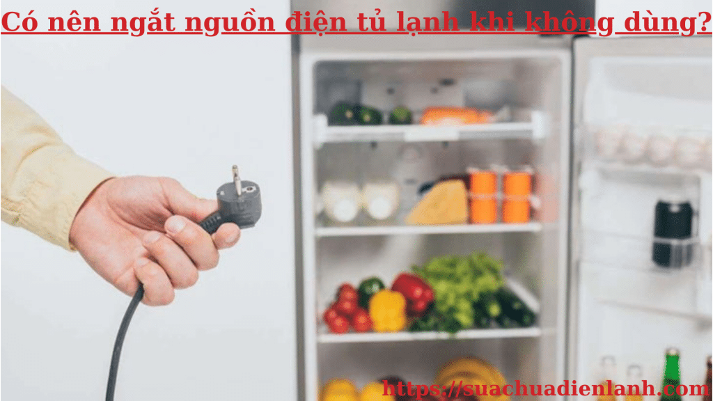 Có nên ngắt nguồn điện tủ lạnh khi không dùng?