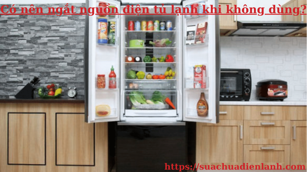 Có nên ngắt nguồn điện tủ lạnh khi không dùng?