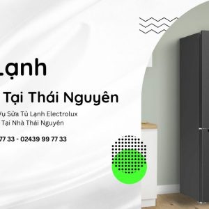 Sửa Tủ Lạnh Electrolux Tại Thái Nguyên